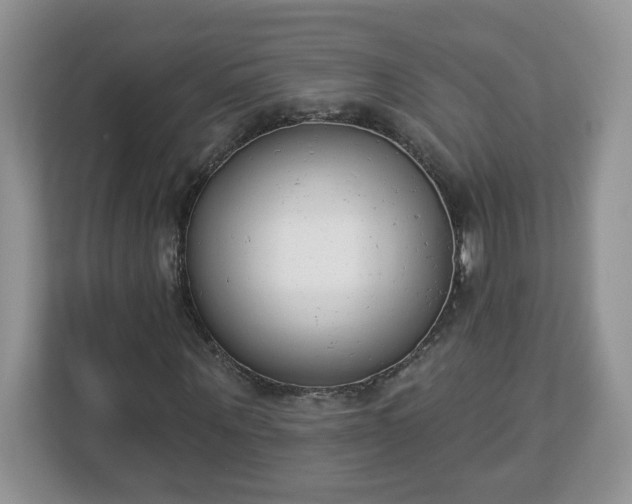 X0000112840867200908281550