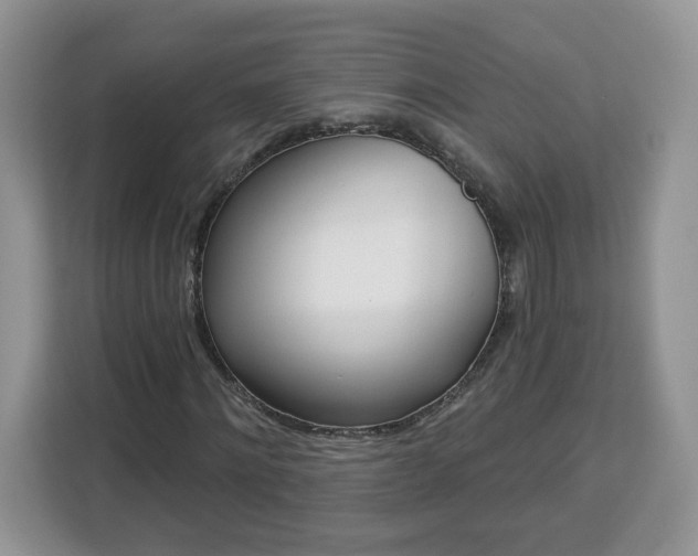 X0000112840868200908281550