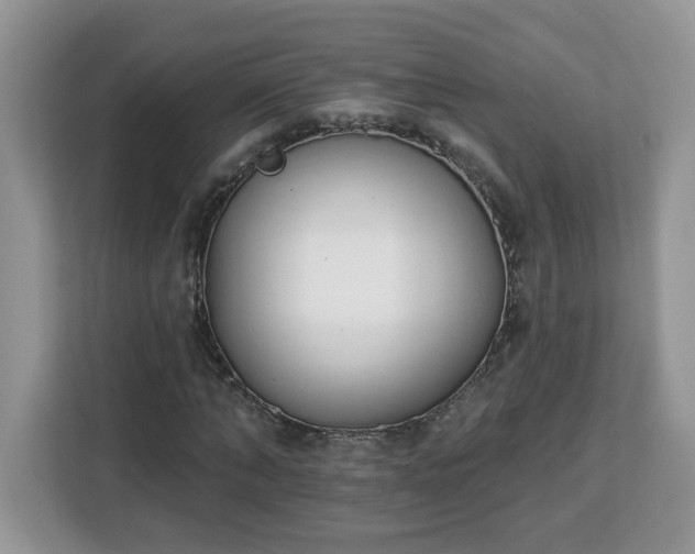 X0000112840870200908281550