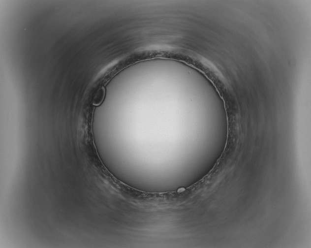 X0000112840872200908281550