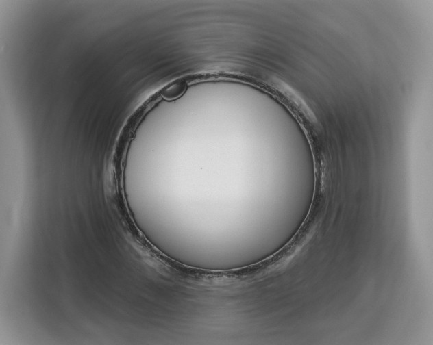 X0000112840876200908281549