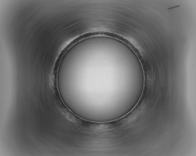 X0000112840879200908281549