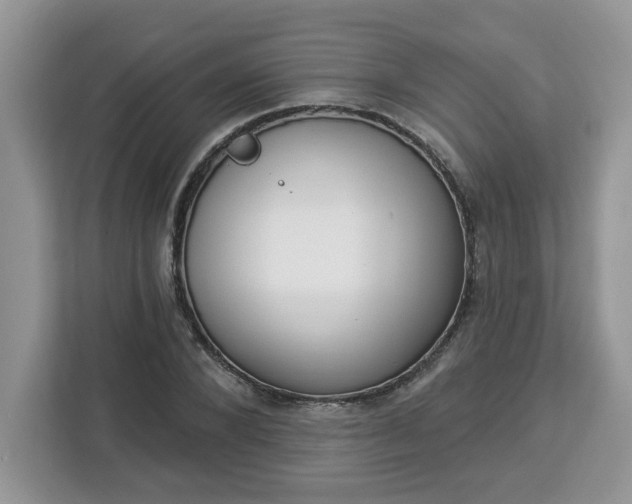 X0000112840880200908281549