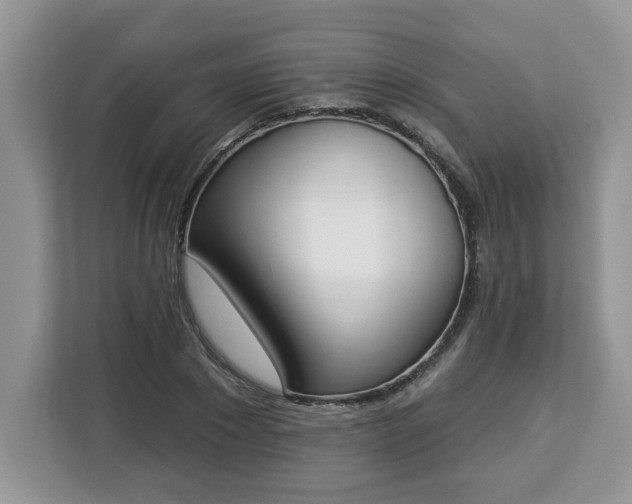 X0000112840881200908281549