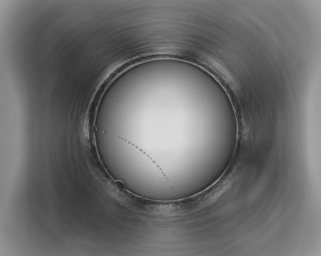 X0000112840883200908281549