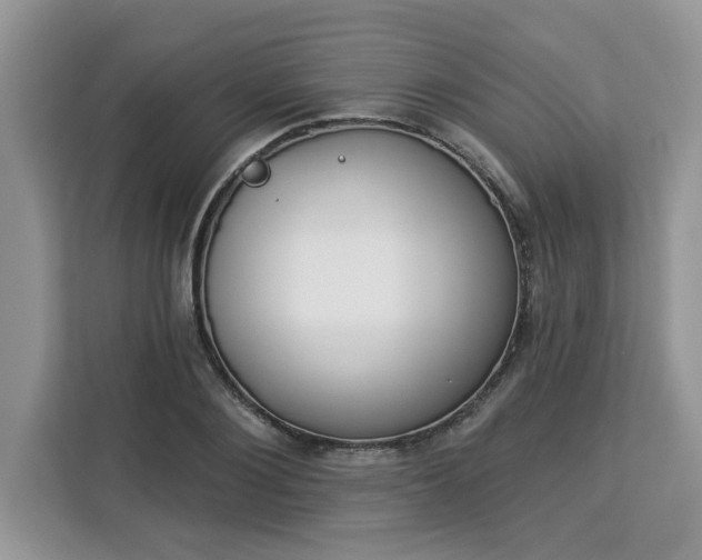 X0000112840884200908281549