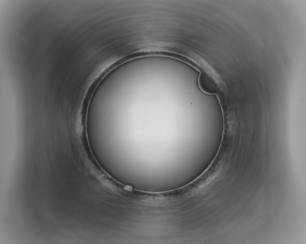 X0000112840885200908281549