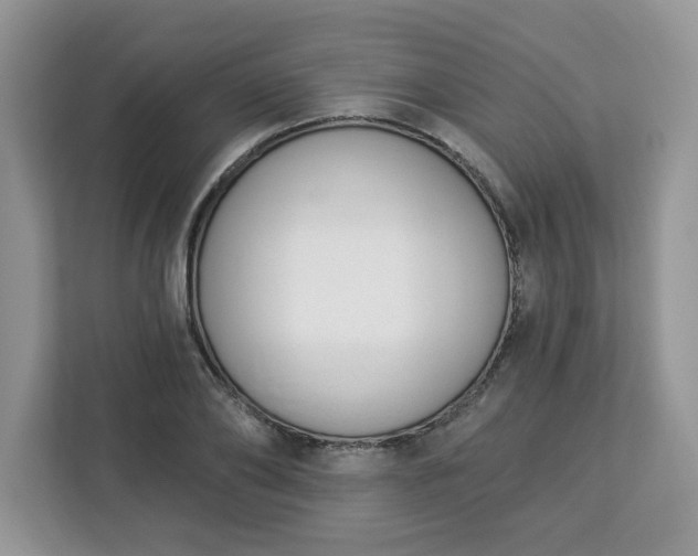 X0000112840886200908281549