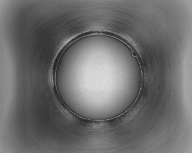 X0000112840887200908281549