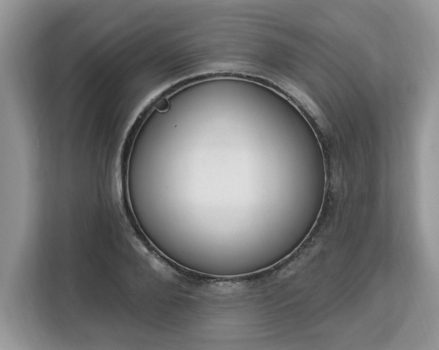 X0000112840888200908281549