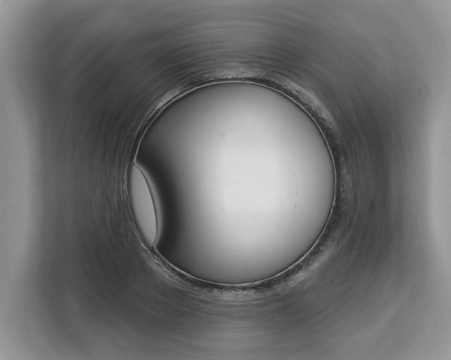 X0000112840889200908281549