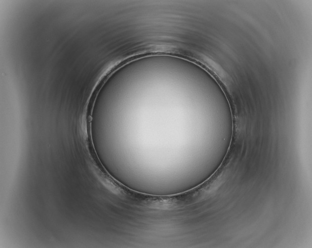 X0000112840891200908281549