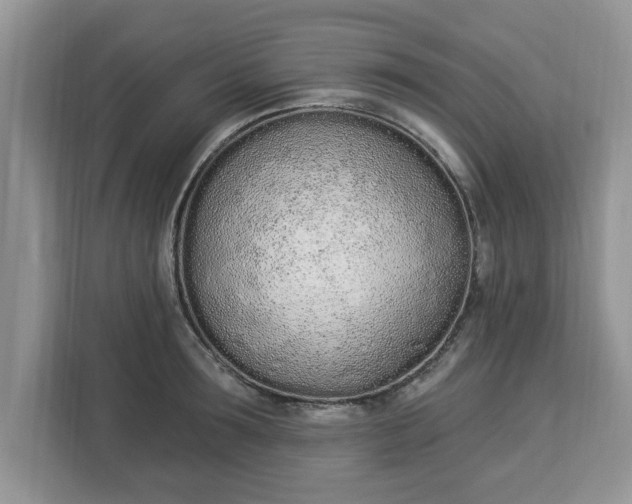 X0000112840899200908281549