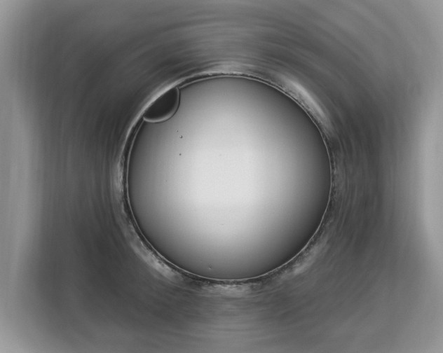 X0000112840900200908281549