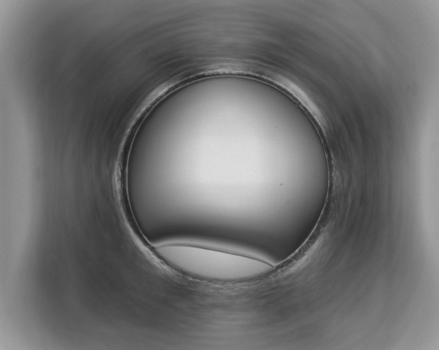 X0000112840901200908281549