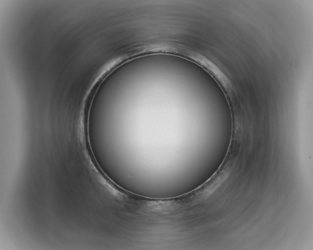 X0000112840902200908281549