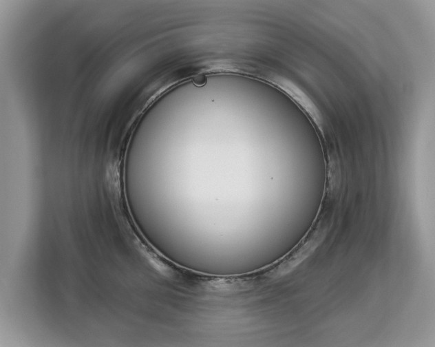 X0000112840906200908281549