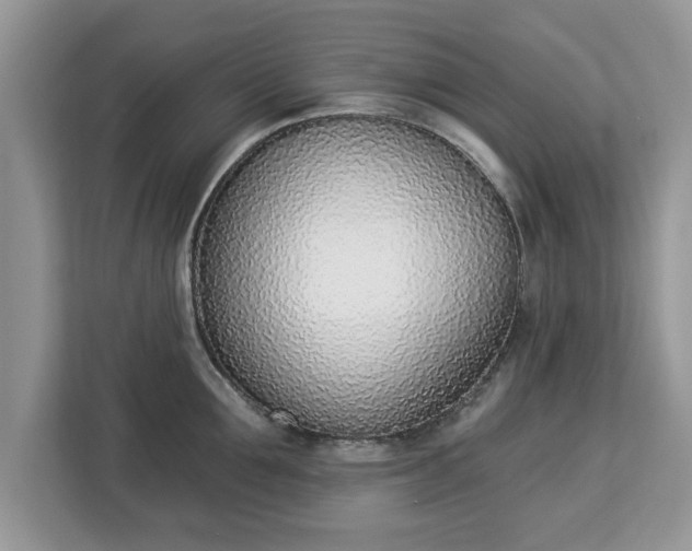 X0000112840907200908281549