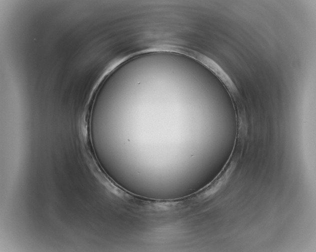 X0000112840908200908281549