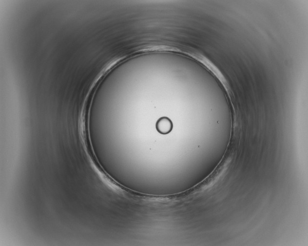 X0000112840909200908281549