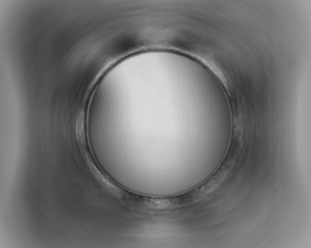 X0000112840911200908281549