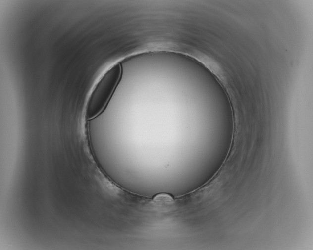 X0000112840912200908281549