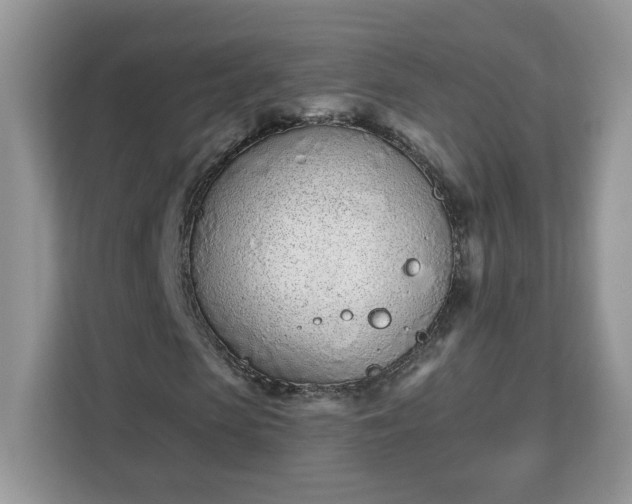 X0000112840913200908281548