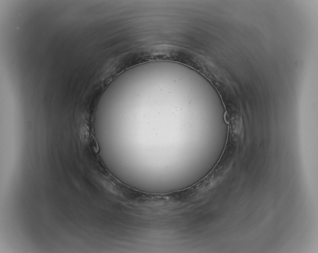 X0000112840916200908281548