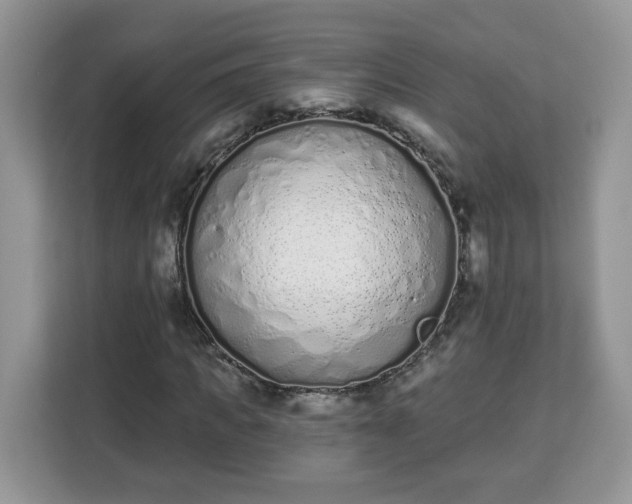 X0000112840917200908281548