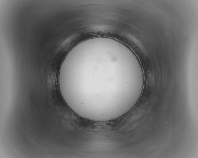 X0000112840918200908281548