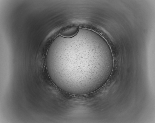 X0000112840919200908281548