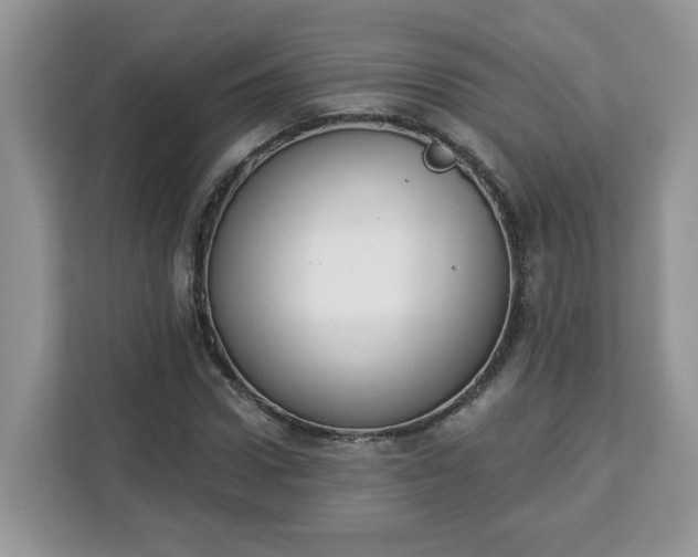 X0000112840922200908281548