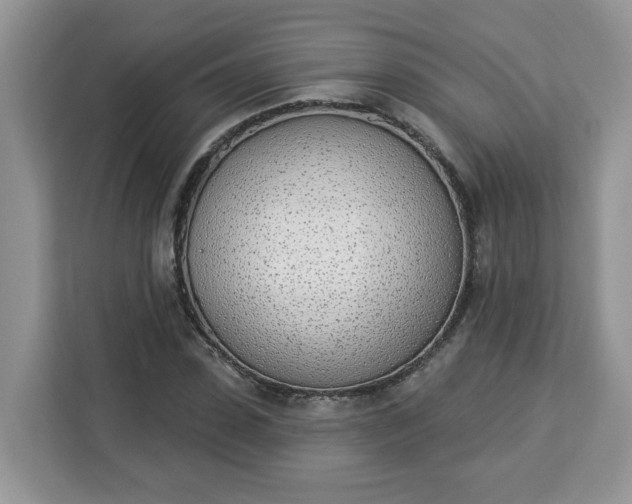 X0000112840923200908281549