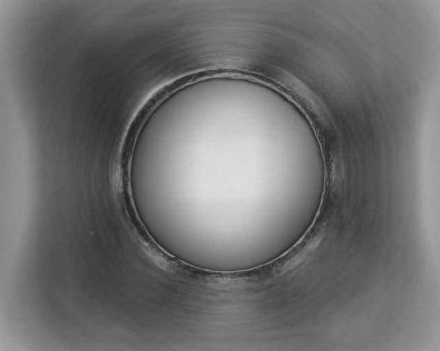 X0000112840924200908281549