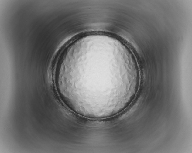 X0000112840925200908281549