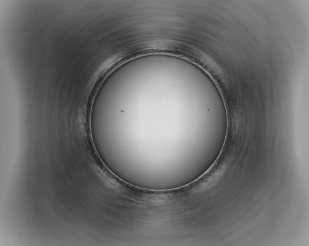 X0000112840930200908281549