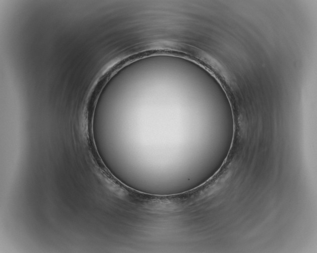 X0000112840931200908281549