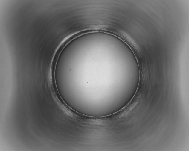 X0000112840932200908281549