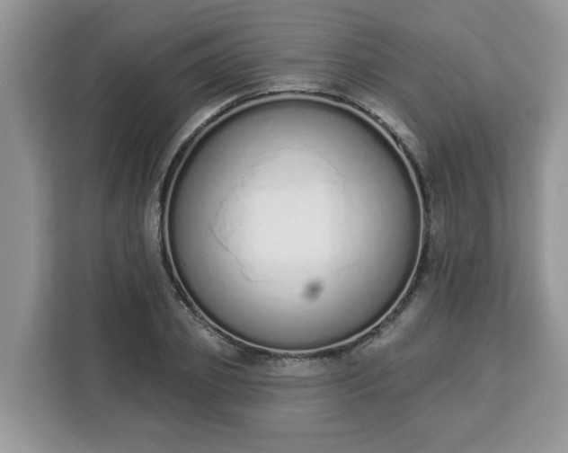 X0000112840933200908281549