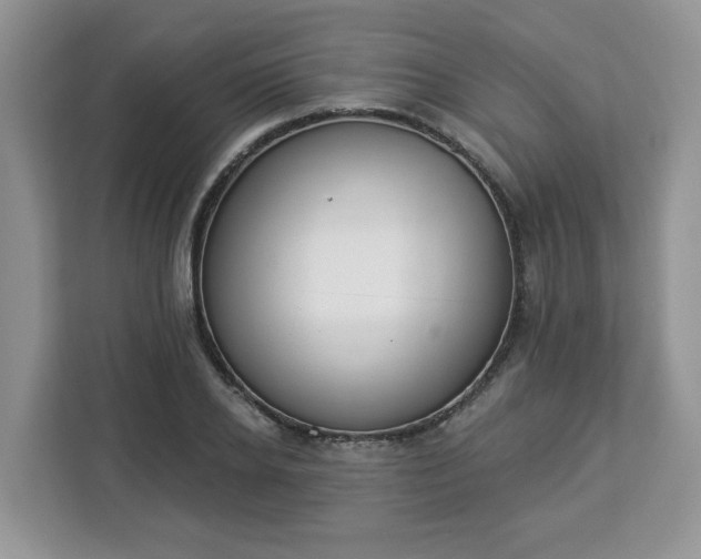 X0000112840934200908281549