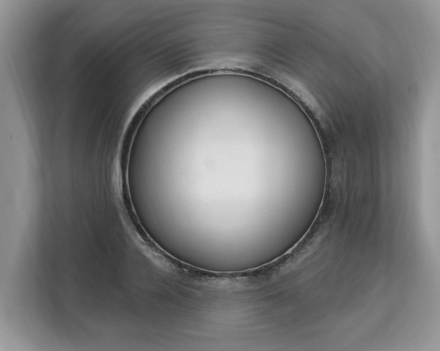 X0000112840936200908281549