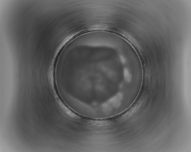 X0000112840941200908281549