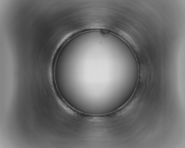 X0000112840942200908281549