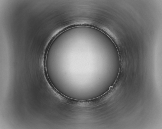 X0000112840943200908281549