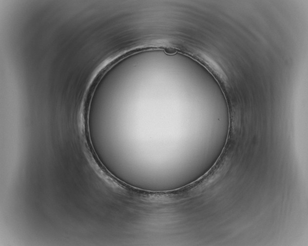 X0000112840944200908281549