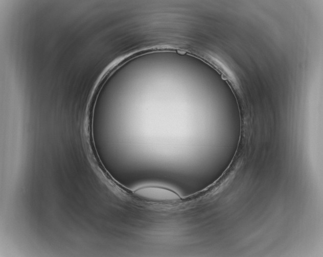 X0000112840948200908281549