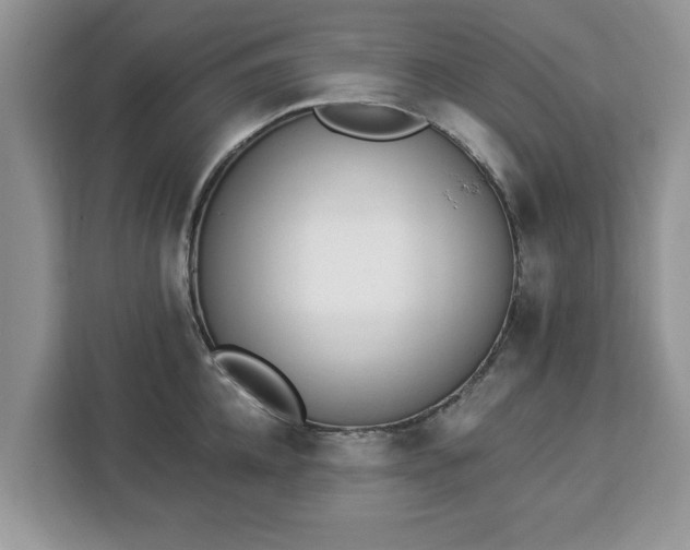 X0000112840952200908281549