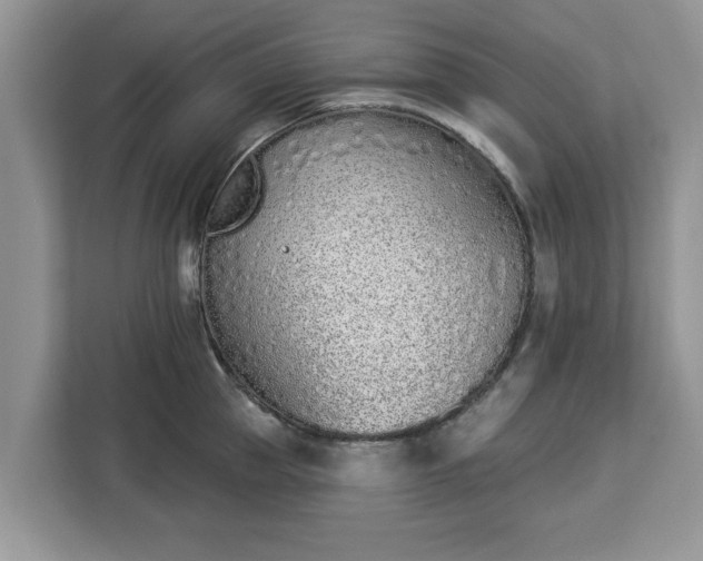 X0000112840953200908281549