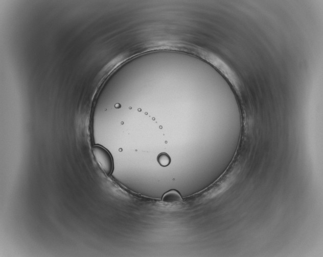 X0000112840954200908281549