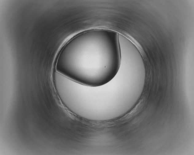 X0000112840956200908281549